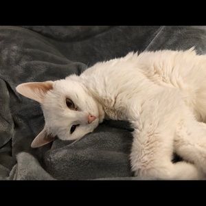 Meet your Posher, Tyra